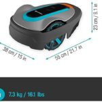 ASSET_MP_138278983