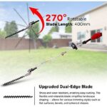 ASSET_MP_164192324