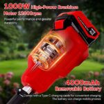 ASSET_MP_164192328-1