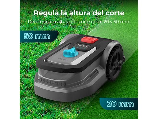 ASSET_MP_166165461 ASSET_MP_166165461