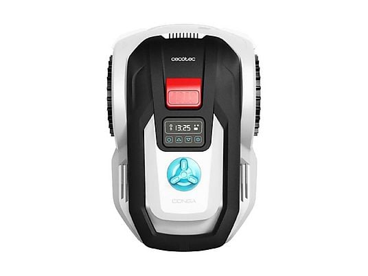 ASSET_MP_175169148-1 ASSET_MP_175169148-1
